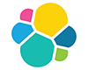 Elastic Search